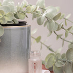 Small bottle labeled 'Athletic Tweed' with a plant in the background on a pink surface