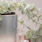 Small bottle labeled 'Athletic Tweed' with a plant in the background on a pink surface